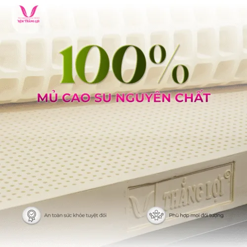 nemthangloichinhhang.vn cstn sisi advanced nguyen chat