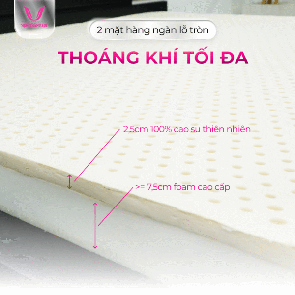 NỆM CAO SU THIÊN NHIÊN SUPER WIN THẮNG LỢI - Hình ảnh 4