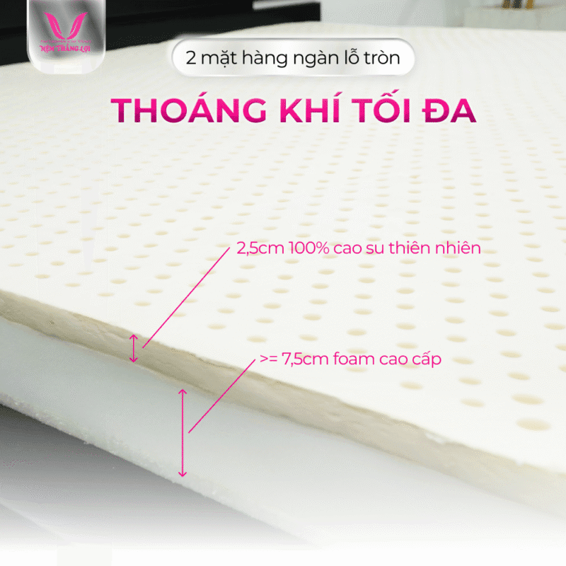NỆM CAO SU THIÊN NHIÊN SUPER WIN THẮNG LỢI - Ảnh 5