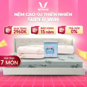 NỆM CAO SU THIÊN NHIÊN SUPER WIN THẮNG LỢI