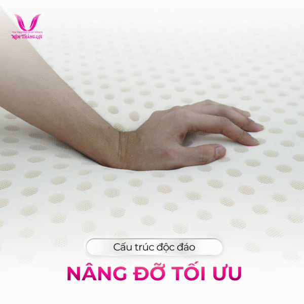 NỆM CAO SU THIÊN NHIÊN SUPER WIN THẮNG LỢI - Hình ảnh 2