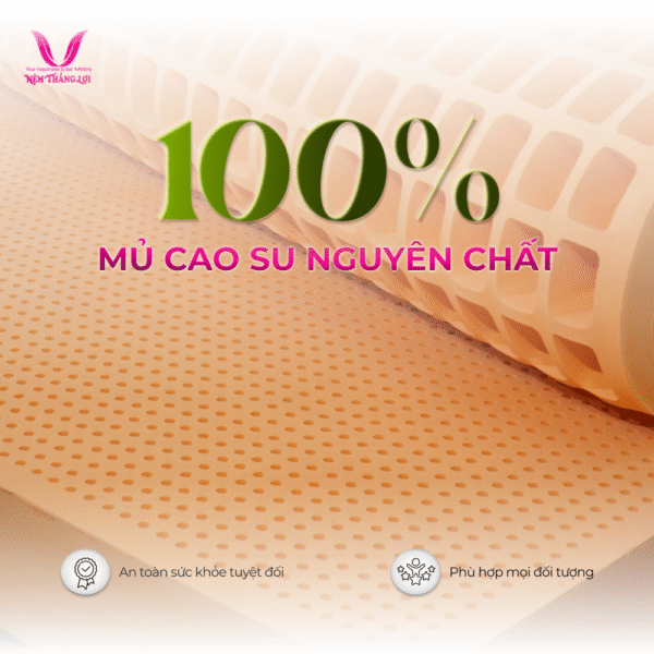 NỆM 100% CAO SU THIÊN NHIÊN THẮNG LỢI SUSU – ORIGINAL - Hình ảnh 2
