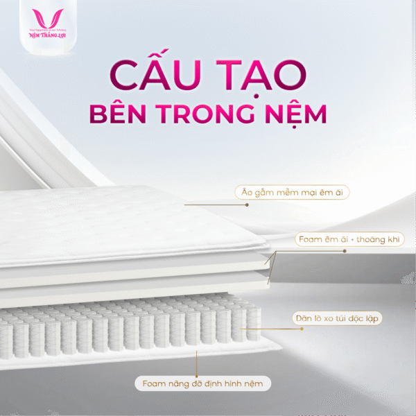 NỆM LÒ XO TÚI ĐỘC LẬP THẮNG LỢI DANISA ROYAL - Hình ảnh 5