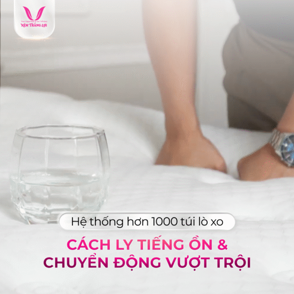 NỆM LÒ XO TÚI ĐỘC LẬP THẮNG LỢI DANISA ROYAL - Hình ảnh 2
