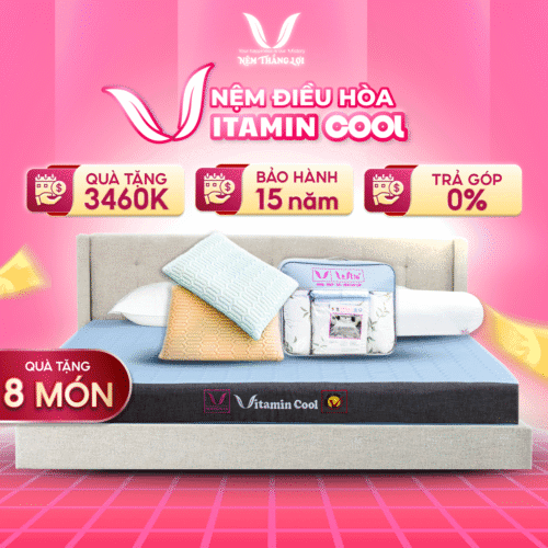 NỆM ĐIỀU HÒA VITAMIN COOL THẮNG LỢI