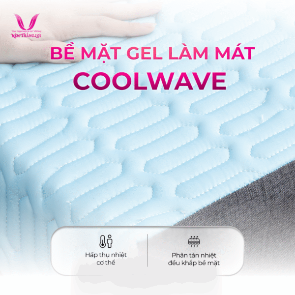 NỆM ĐIỀU HÒA VITAMIN COOL THẮNG LỢI - Hình ảnh 2