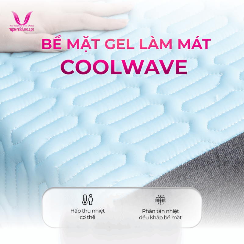 NỆM ĐIỀU HÒA VITAMIN COOL THẮNG LỢI - Ảnh 3