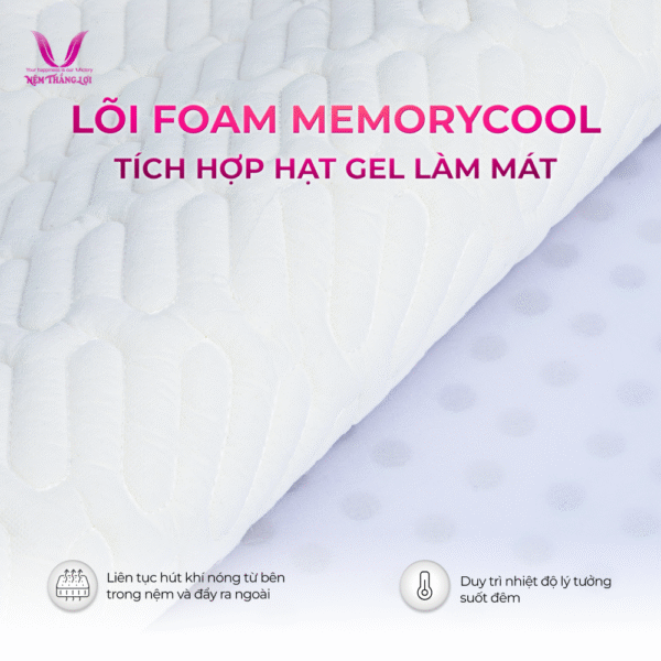NỆM ĐIỀU HÒA VITAMIN COOL THẮNG LỢI - Hình ảnh 4