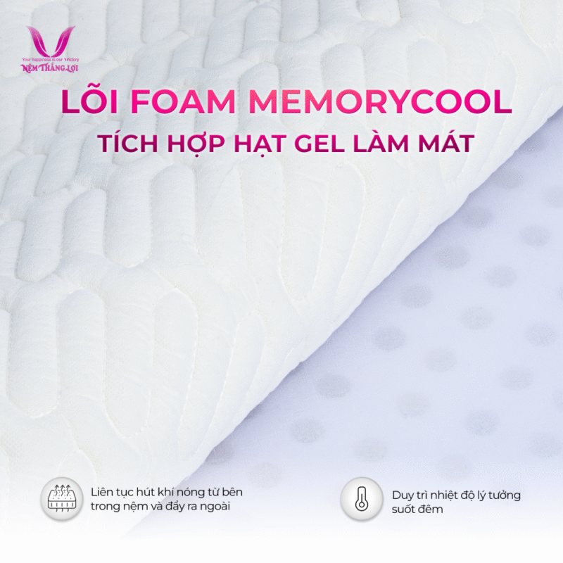NỆM ĐIỀU HÒA VITAMIN COOL THẮNG LỢI - Ảnh 5