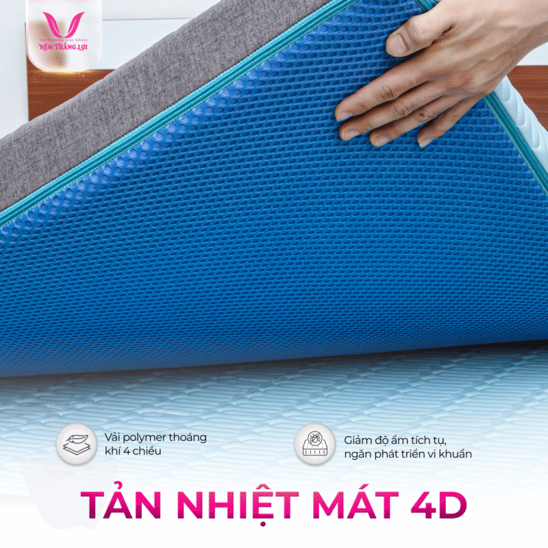 NỆM ĐIỀU HÒA VITAMIN COOL THẮNG LỢI - Ảnh 4