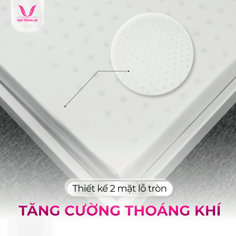 NỆM CAO SU FOAM CAO CẤP THẮNG LỢI - Ảnh 2