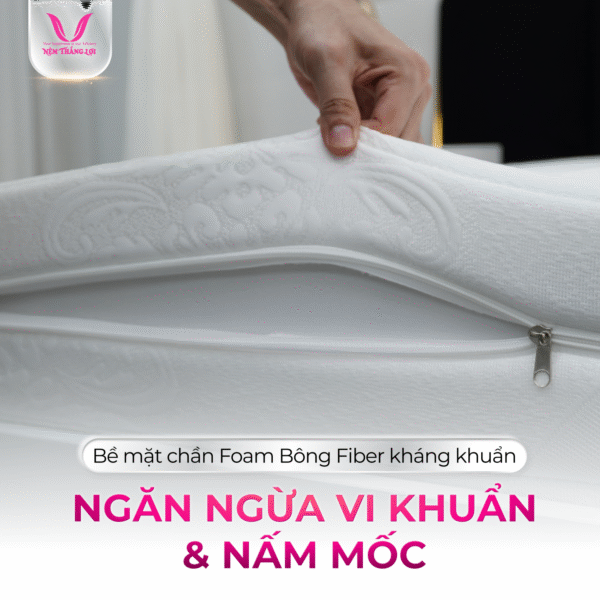 NỆM CAO SU FOAM CAO CẤP THẮNG LỢI - Hình ảnh 3