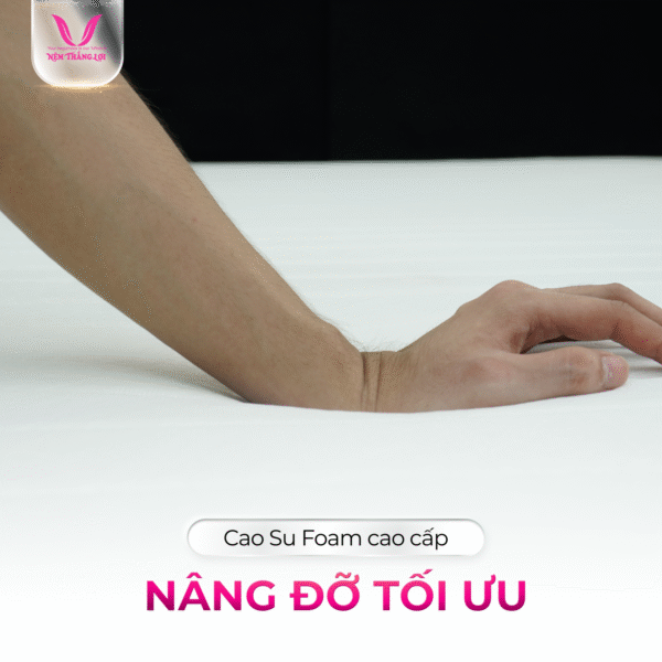 NỆM CAO SU FOAM CAO CẤP THẮNG LỢI - Hình ảnh 4