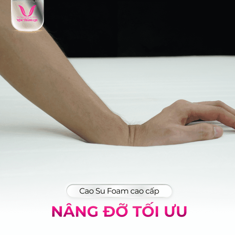 NỆM CAO SU FOAM CAO CẤP THẮNG LỢI - Ảnh 4