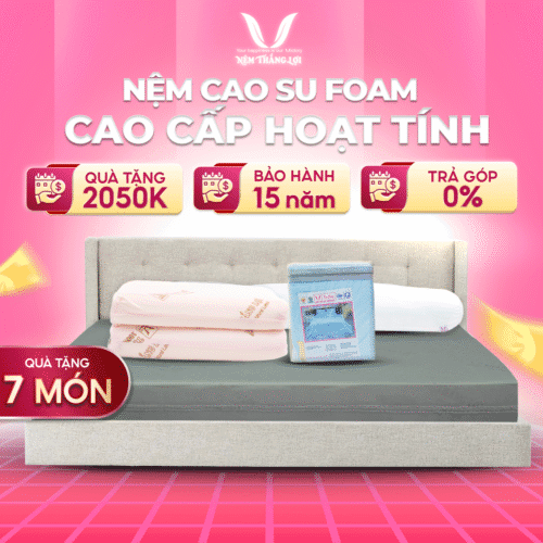 NỆM CAO SU FOAM HOẠT TÍNH CAO CẤP THẮNG LỢI