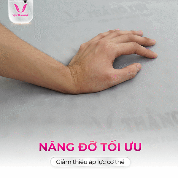 NỆM CAO SU FOAM HOẠT TÍNH CAO CẤP THẮNG LỢI - Hình ảnh 4