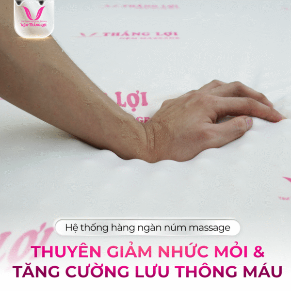 NỆM CAO SU FOAM MASSAGE THẮNG LỢI - Hình ảnh 2