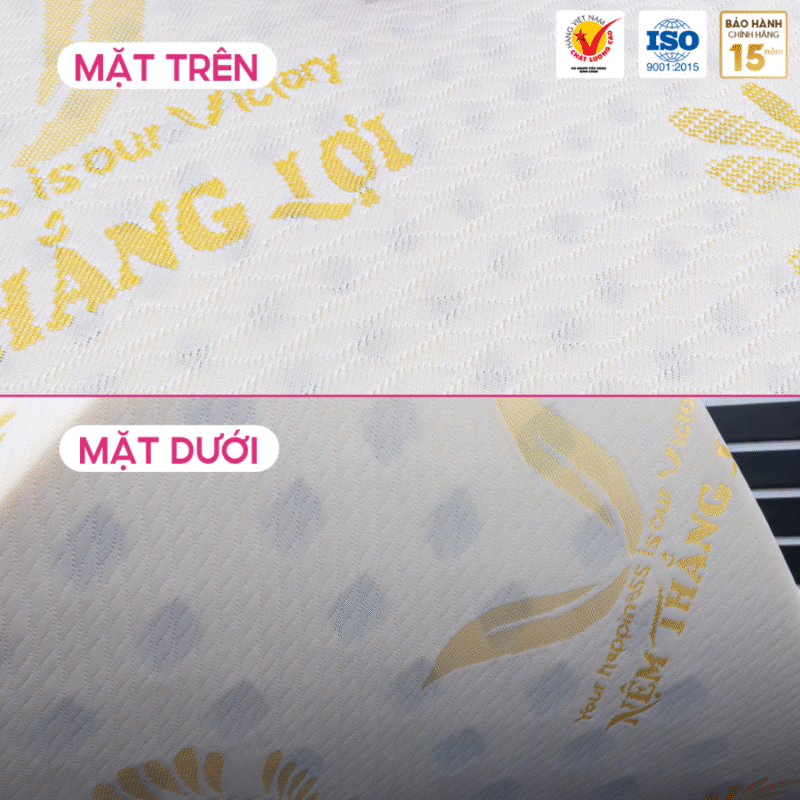 NỆM CAO SU GOLED LATEX THẮNG LỢI - Ảnh 4