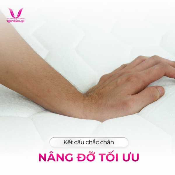 NỆM CAO SU NHÂN TẠO GẤM NHUNG THẮNG LỢI - Hình ảnh 4
