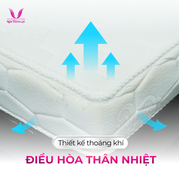 NỆM CAO SU NHÂN TẠO GẤM NHUNG THẮNG LỢI - Hình ảnh 3