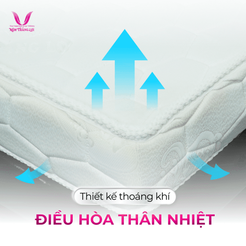 NỆM CAO SU NHÂN TẠO GẤM NHUNG THẮNG LỢI - Ảnh 3