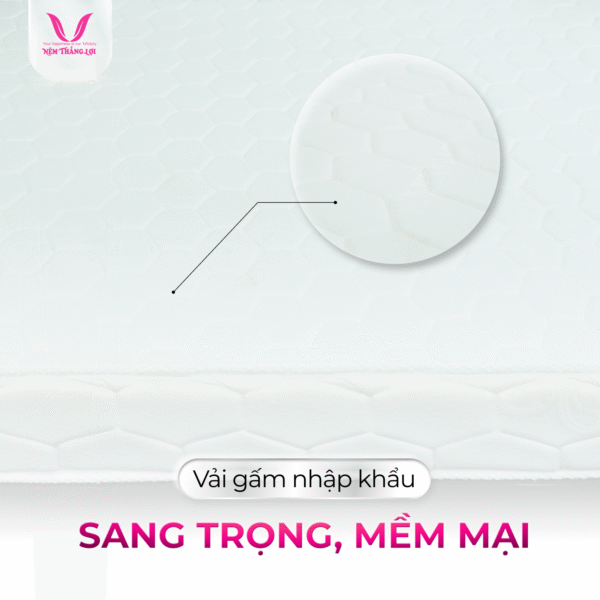 NỆM CAO SU NHÂN TẠO GẤM NHUNG THẮNG LỢI - Hình ảnh 2