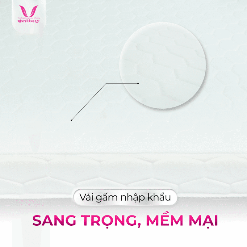 NỆM CAO SU NHÂN TẠO GẤM NHUNG THẮNG LỢI - Ảnh 2