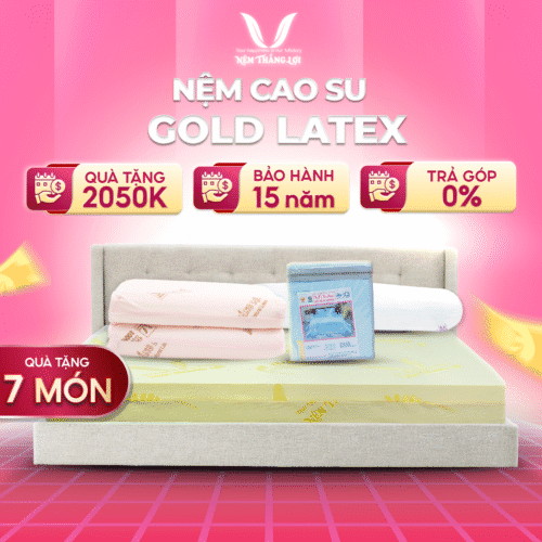 NỆM CAO SU GOLED LATEX THẮNG LỢI