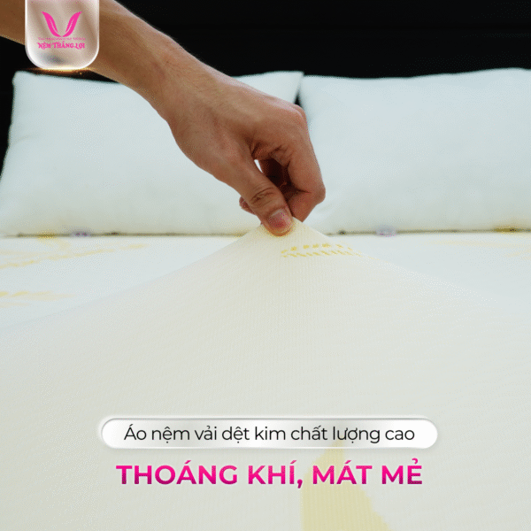 NỆM CAO SU GOLED LATEX THẮNG LỢI - Hình ảnh 4