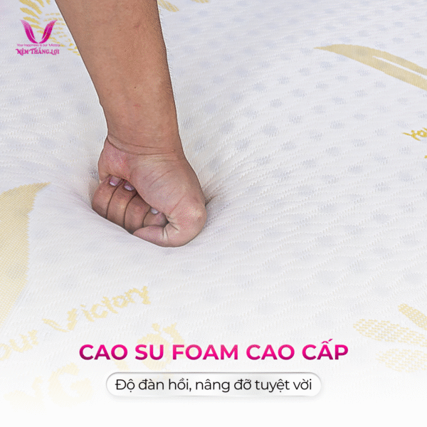NỆM CAO SU GOLED LATEX THẮNG LỢI - Hình ảnh 3