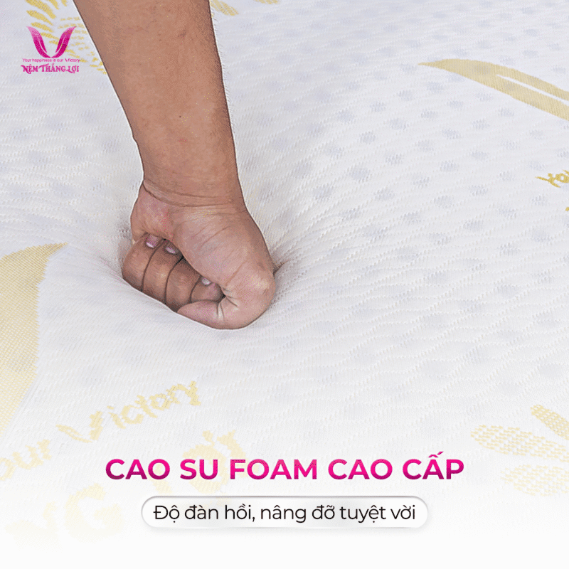 NỆM CAO SU GOLED LATEX THẮNG LỢI - Ảnh 5