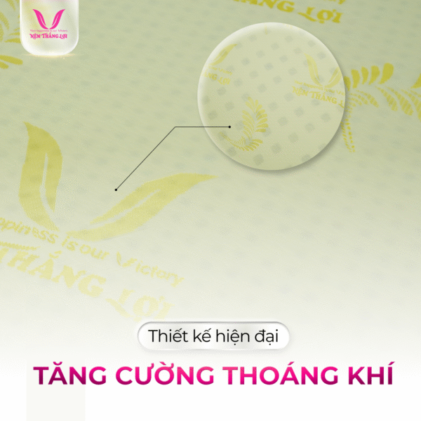 NỆM CAO SU GOLED LATEX THẮNG LỢI - Hình ảnh 2