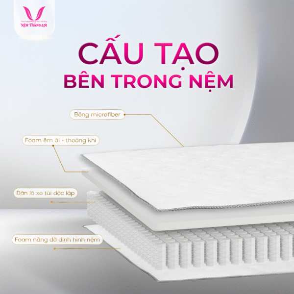 NỆM LÒ XO TÚI ĐỘC LẬP LISA LUXYRY THẮNG LỢI - Hình ảnh 5