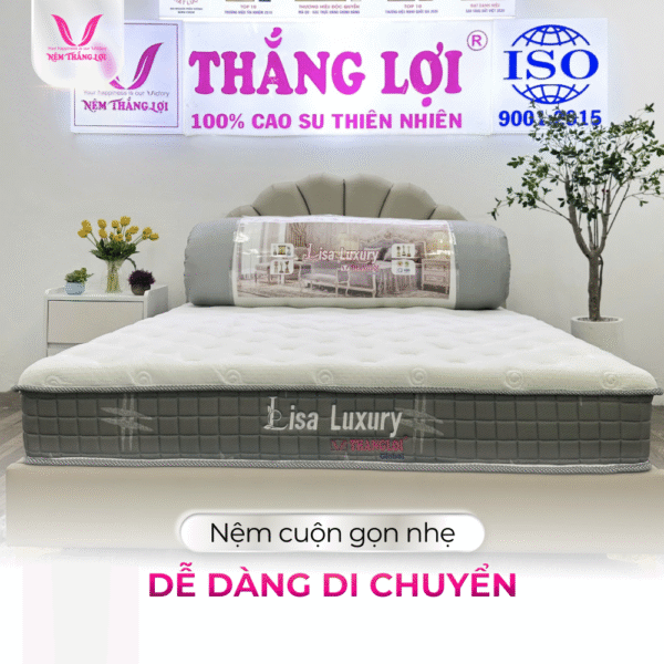 NỆM LÒ XO TÚI ĐỘC LẬP LISA LUXYRY THẮNG LỢI - Hình ảnh 2