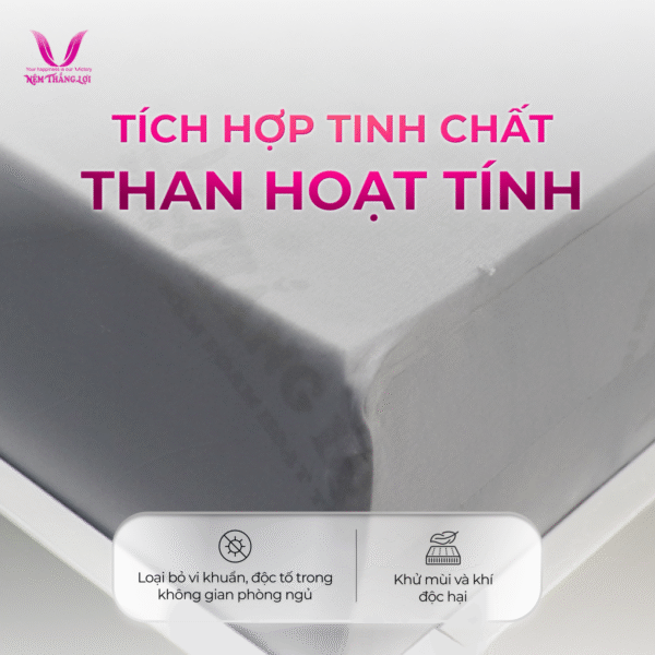 NỆM CAO SU FOAM HOẠT TÍNH CAO CẤP THẮNG LỢI - Hình ảnh 2