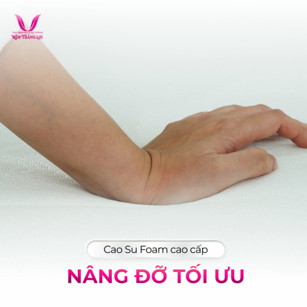 NỆM MEMORY FOAM THẮNG LỢI - Hình ảnh 2