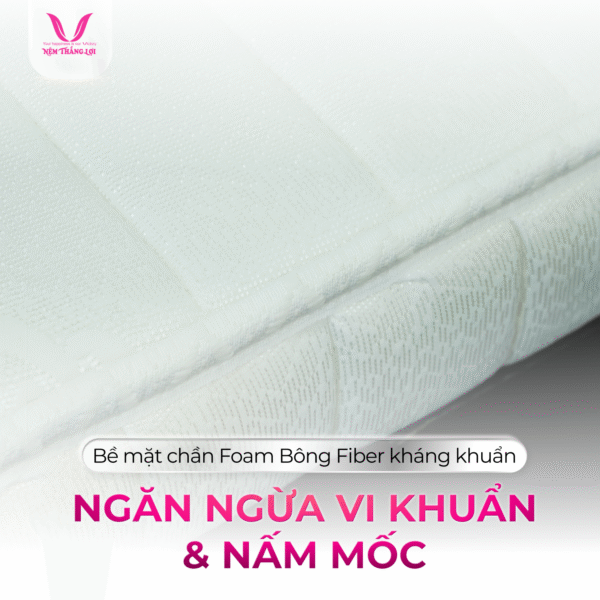 NỆM MEMORY FOAM THẮNG LỢI - Hình ảnh 3