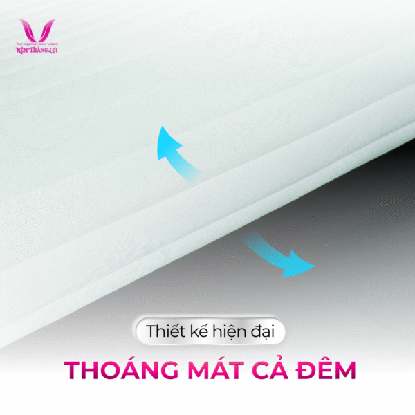 NỆM MEMORY FOAM THẮNG LỢI - Hình ảnh 4