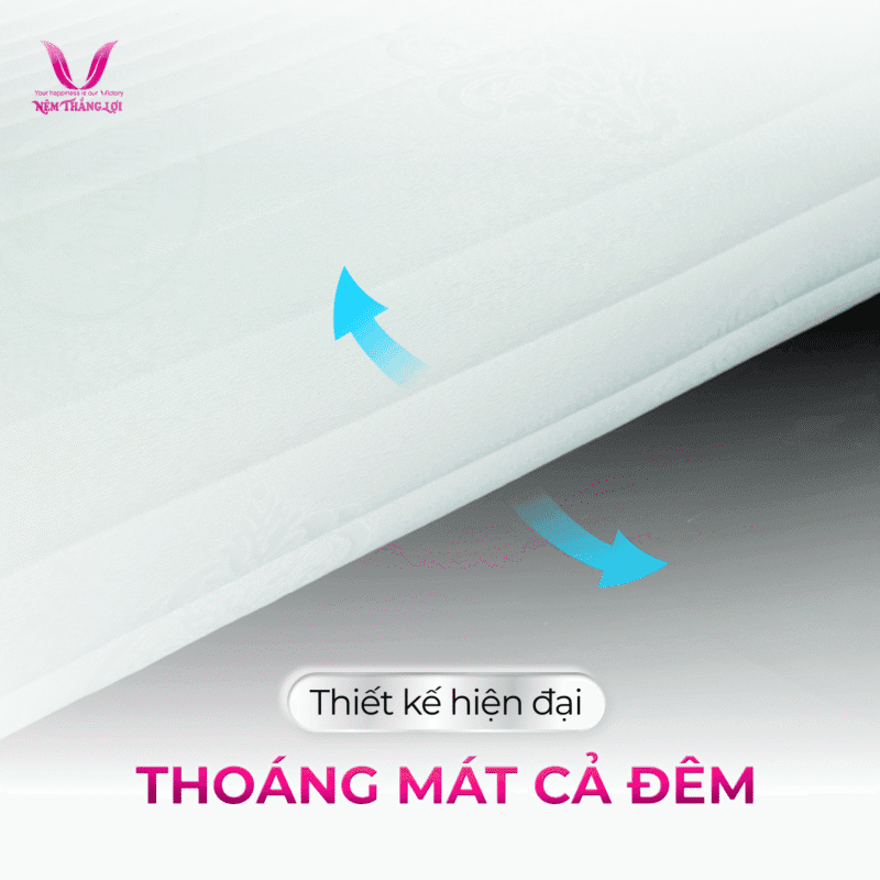 NỆM CAO SU MEMORY FOAM THẮNG LỢI - Ảnh 4