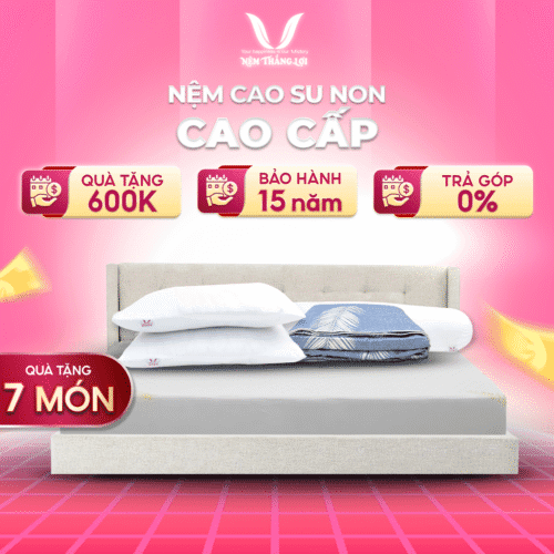 NỆM CAO SU NON CAO CẤP THẮNG LỢI