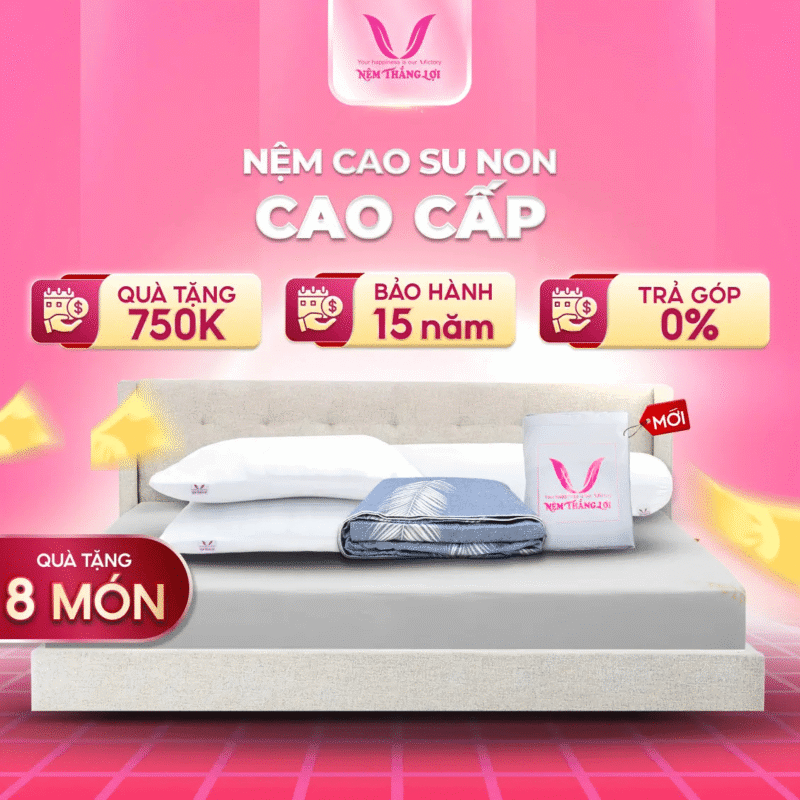 NỆM CAO SU NON CAO CẤP THẮNG LỢI