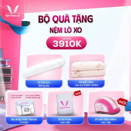 Alternative view of NỆM LÒ XO TÚI ĐỘC LẬP THẮNG LỢI DANISA ROYAL