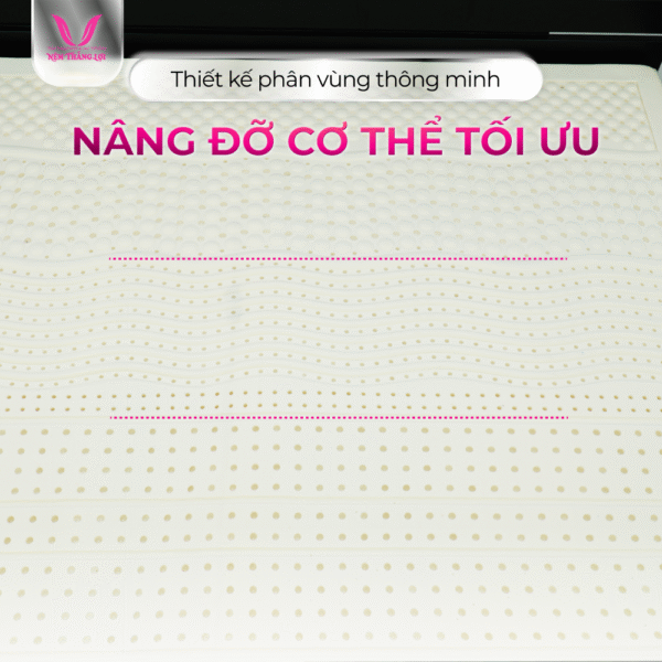 NỆM CAO SU THIÊN NHIÊN ROSI MASAGE THẮNG LỢI - Hình ảnh 3
