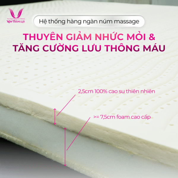 NỆM CAO SU THIÊN NHIÊN ROSI MASAGE THẮNG LỢI - Hình ảnh 2
