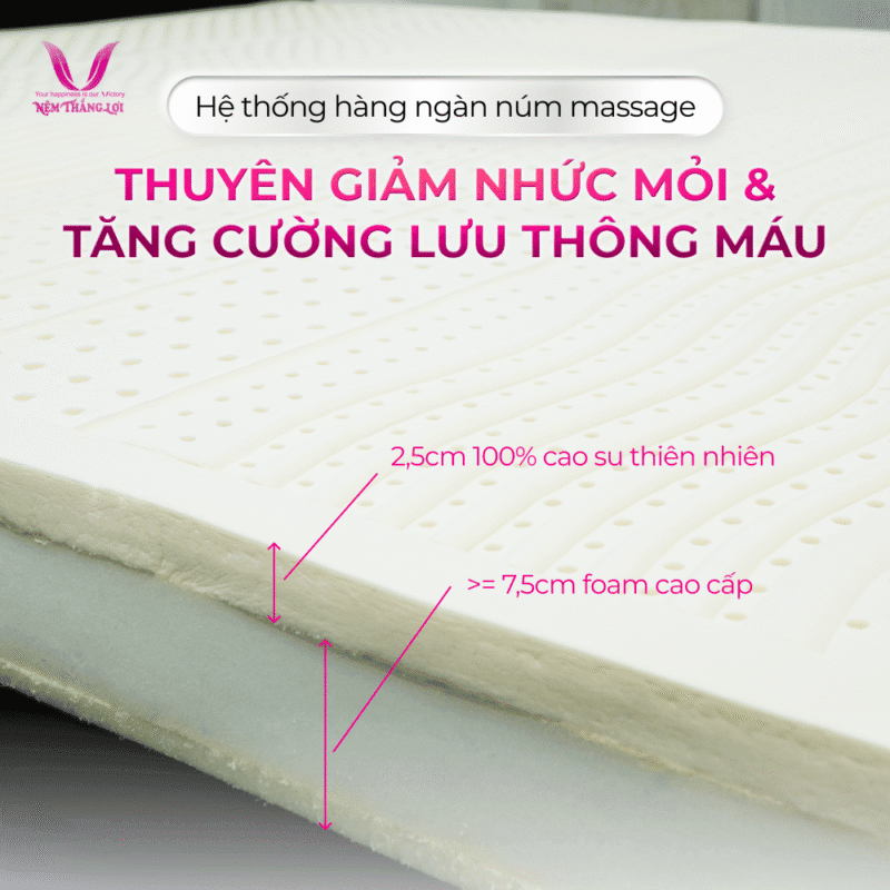 NỆM CAO SU THIÊN NHIÊN ROSI MASSAGE THẮNG LỢI - Ảnh 3
