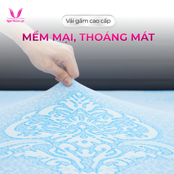 NỆM CAO SU THIÊN NHIÊN ROSI MASAGE THẮNG LỢI - Hình ảnh 4