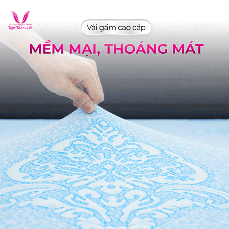NỆM CAO SU THIÊN NHIÊN ROSI MASSAGE THẮNG LỢI - Ảnh 5