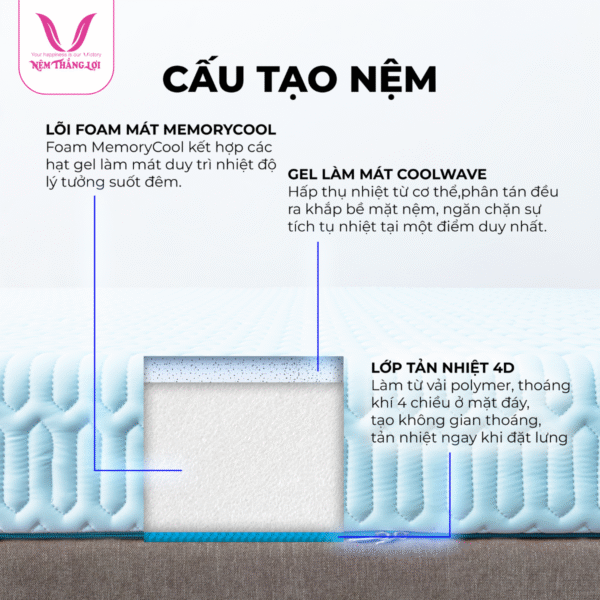 NỆM ĐIỀU HÒA VITAMIN COOL THẮNG LỢI - Hình ảnh 5
