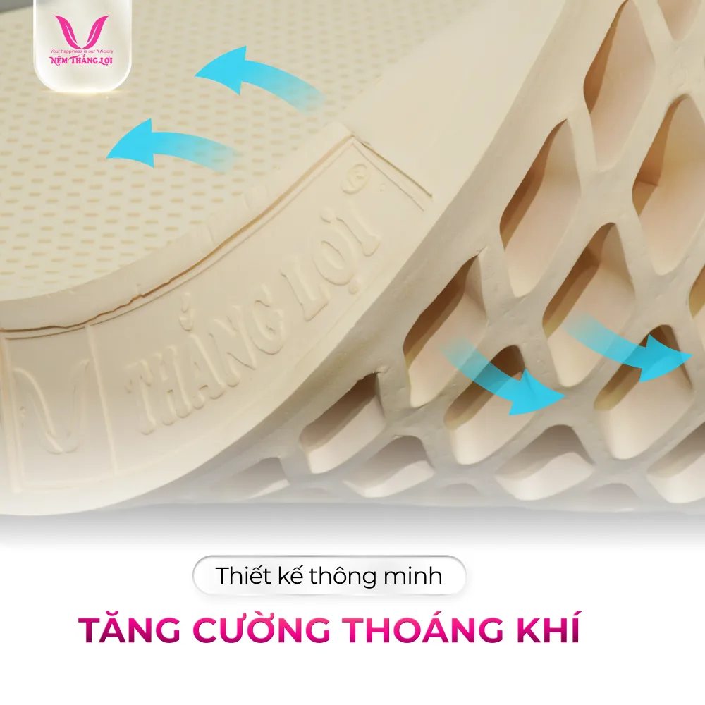 NỆM 100% CAO SU THIÊN NHIÊN THẮNG LỢI SISI – ADVANCED - Ảnh 5