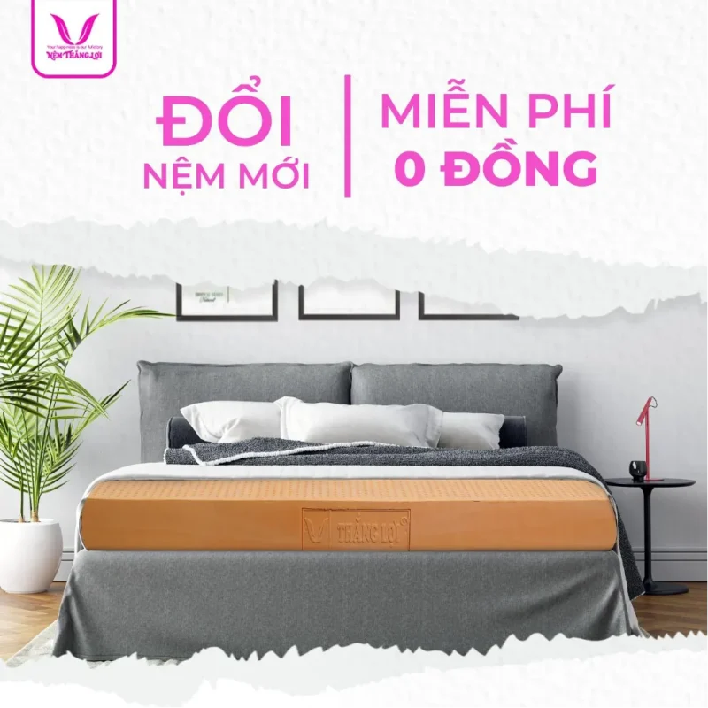 nemthangloichinhhang.vn thu cu doi moi